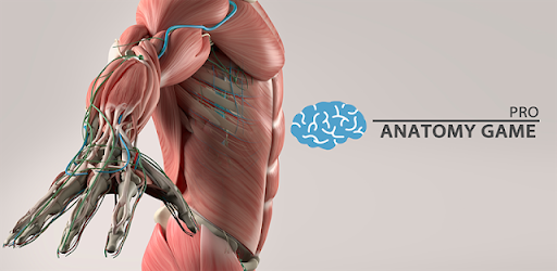 Anatomy Game Anatomicus Pro