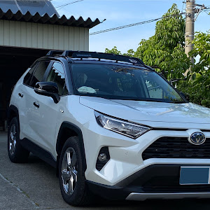 RAV4 MXAA54