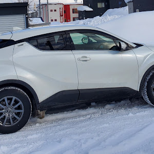 C-HR NGX50