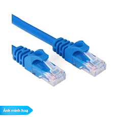 Dây nối mạng UTP Cat 5e, 1,5m (patch cord) Dintek, 2 đầu đúc RJ45 (Blue)