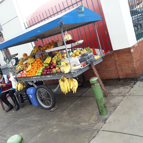 Opiniones de Kiosco De Frutas y Verduras en Miraflores - Frutería