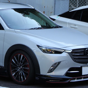 CX-3 DK5AW