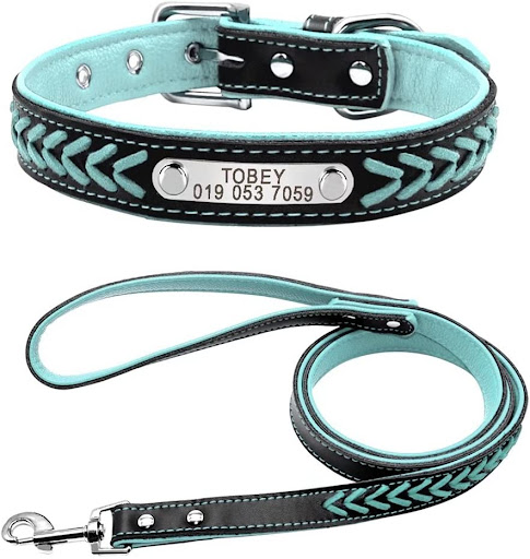 Title 6, Engraved Anti-Lost Dog Tag Personalized Safety ...