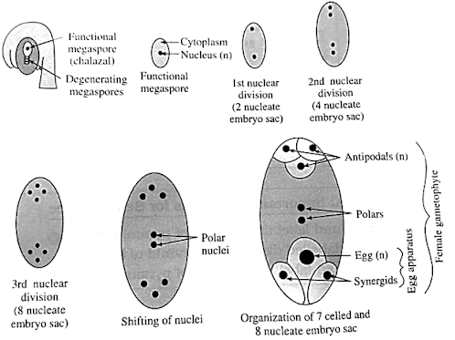 Solution Image