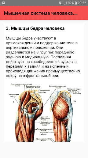 Загрузить Фото Человека