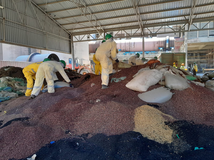 Beans being mixed with tire dust before they are incinerated at the Mombasa Bamburi Cement Plant on Friday