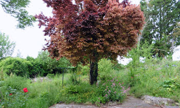 maison à Lailly (89)