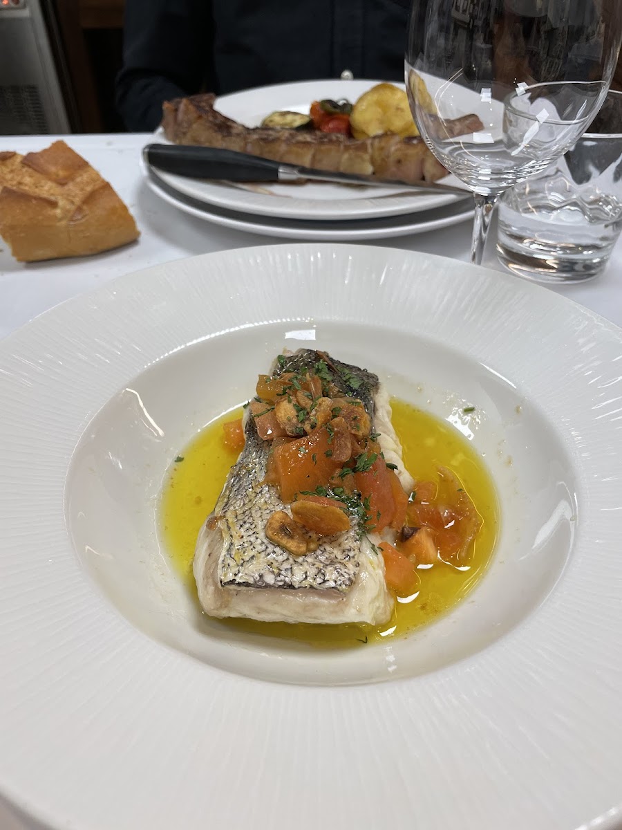 Hake with olive oil and tomatoes