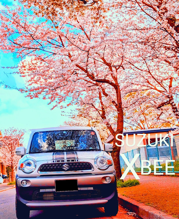 クロスビーのサクラと愛車・4月もよろしくお願い致します🌸・クロスビー好きと繋がりたい・桜とコラボ・discover＿ctに関するカスタム事例の投稿画像4枚目