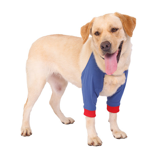 Title 4, Pet Knee Pads for Cold and Warmth Protection. K...