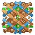 Puzzle Wood Nuts & Bolts Games