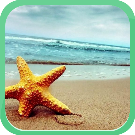 Walking Starfish 個人化 App LOGO-APP開箱王