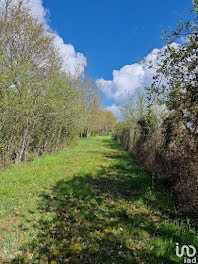 terrain à Usson-du-Poitou (86)