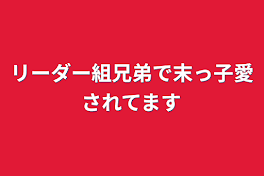 リーダー組兄弟で末っ子愛されてます