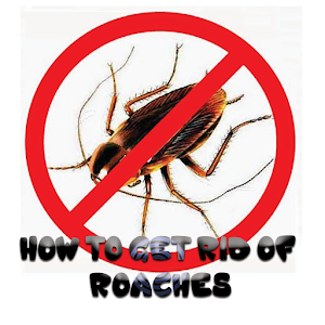 Download HOW TO GET RID OF ROACHES For PC Windows and Mac