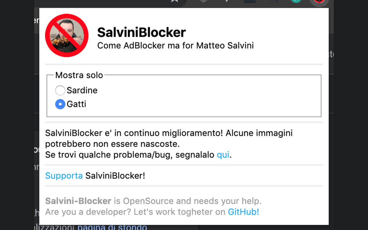 Salvini-Blocker Preview image 1