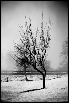 Noir di fabiodago