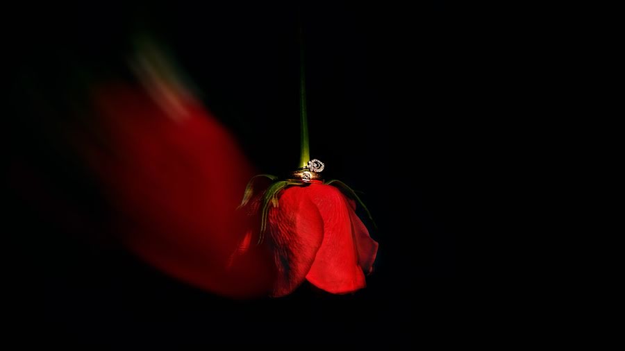 Fotografo di matrimoni Aditya Chowdary (aditya369). Foto del 21 settembre 2019