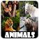 Animal Sounds icon