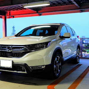 CR-V RT6