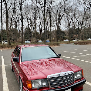 190シリーズ W201