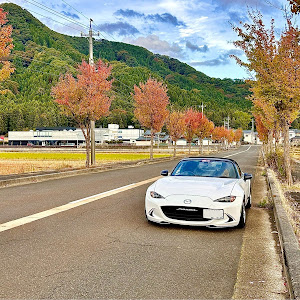 ロードスター ND5RC