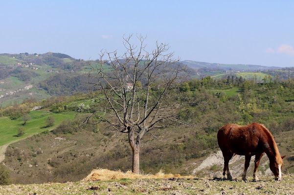 Fattoria d'autunno di bereza