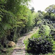 嘉義梅山二尖山休閒茶園