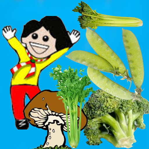 Best Vegetables for You