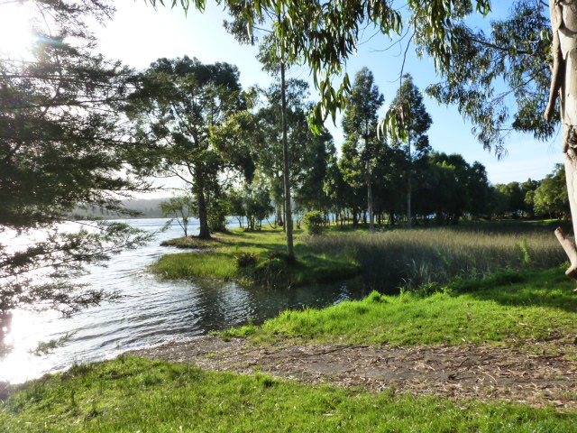 SALTOS DEL RIO PETROHUE, VOLCAN OSORNO, CIRCUITO LAGO LLANQUIHUE - CHILE, de Norte a Sur con desvío a Isla de Pascua (32)