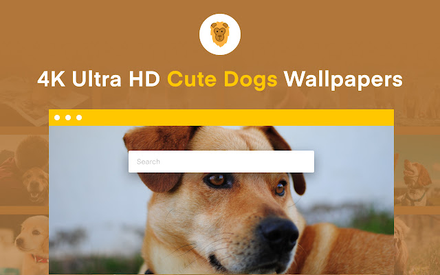 4K HD Cute Dogs Wallpapers | New Tab Themes