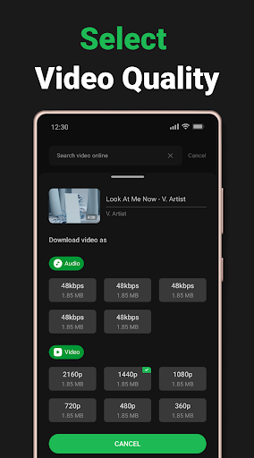 Screenshot Video Downloader & Player