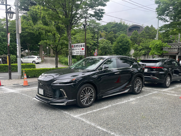 RXのRX 450h＋・深大寺・ご開帳・深大寺そばに関するカスタム事例の投稿画像1枚目