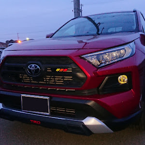 RAV4 MXAA54