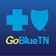 GoBlue TN Download on Windows