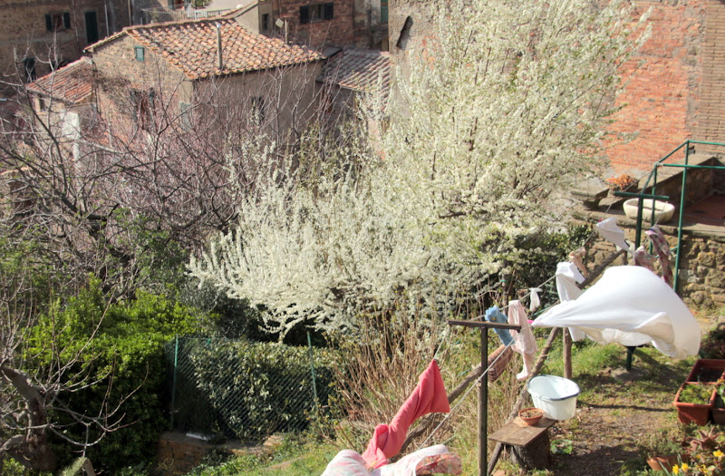 primavera in campagna di pilotto