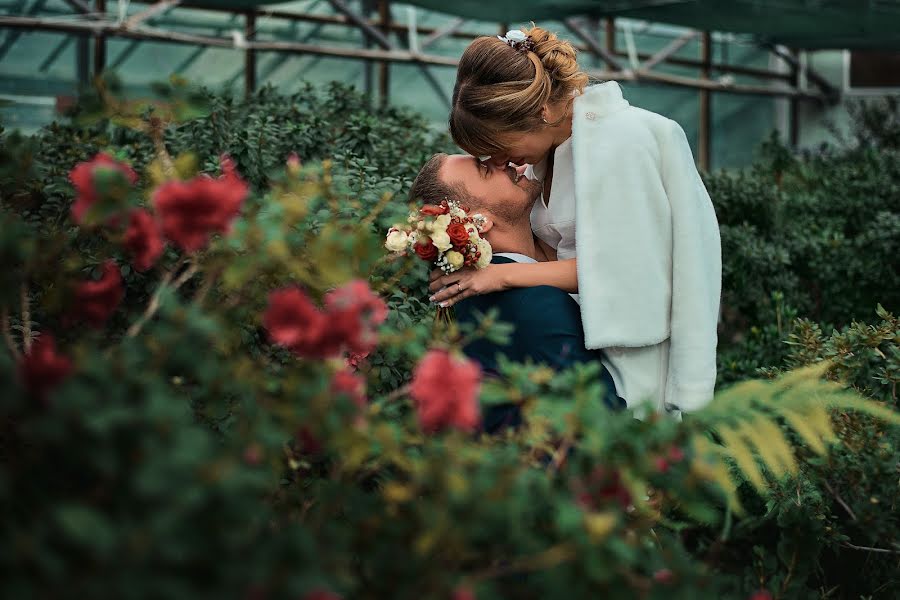 Fotógrafo de casamento Maksim Falko (maximfalko). Foto de 29 de novembro 2020