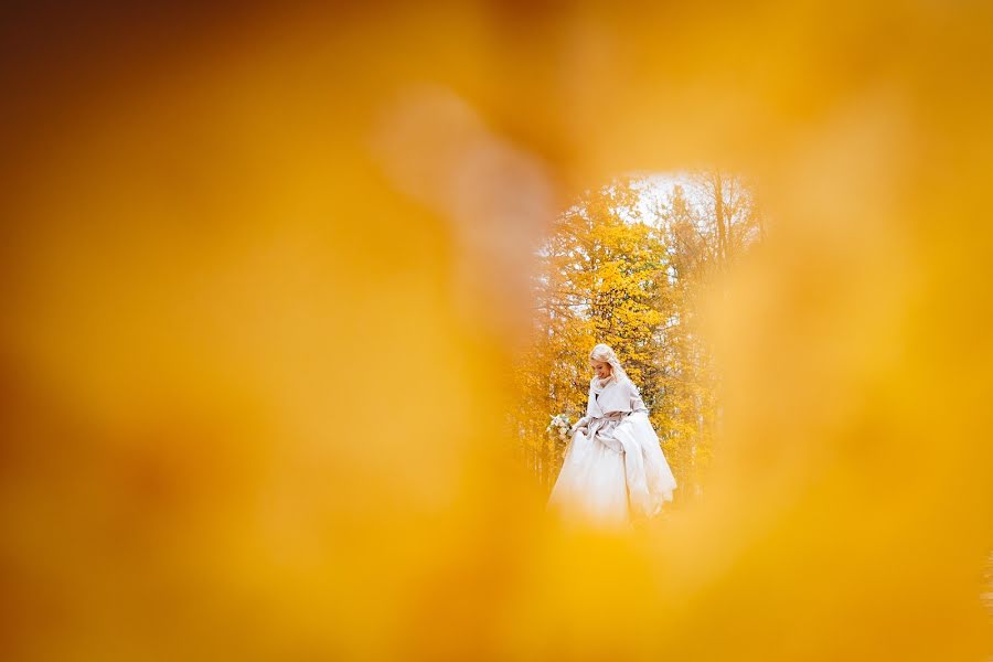 Fotógrafo de bodas Laurynas Butkevičius (laurynasb). Foto del 31 de octubre 2018