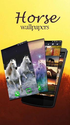 Horse Wallpapers