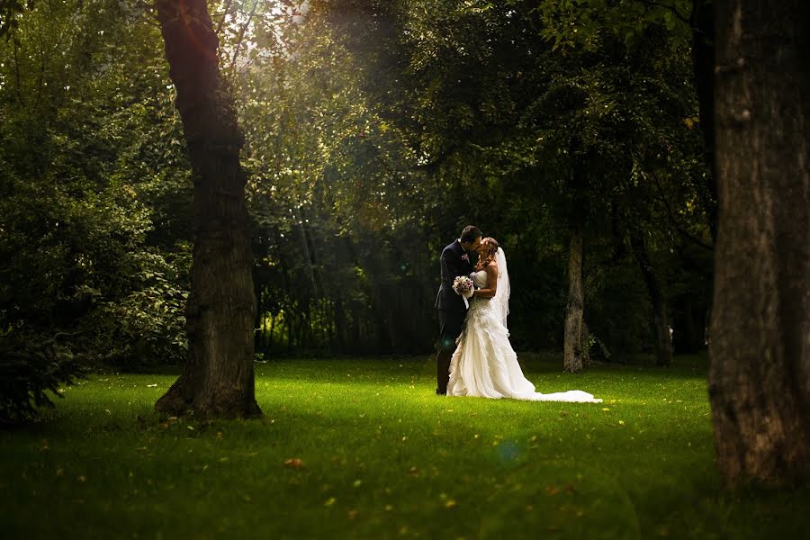 Fotografo di matrimoni Cristian Dinu (onecolor). Foto del 8 gennaio 2017