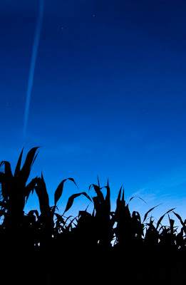 Dentro l'ora blu... di alemaff