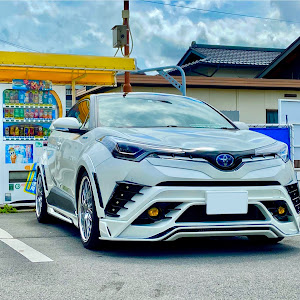 C-HR ZYX10