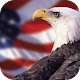 American Eagle Wallpapers Download on Windows