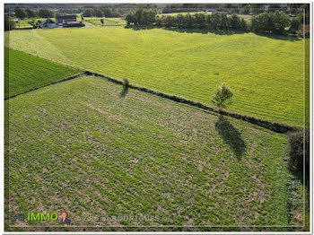 terrain à Theze (64)