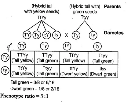 Solution Image