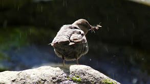 Glacier Land thumbnail