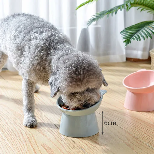 Cat Bowl High Foot Dog Bowl 45°Neck Protector Cat Pet Food Water Bowl Anti-Overturning Binaural Pet Feeding Cup Pet Feed