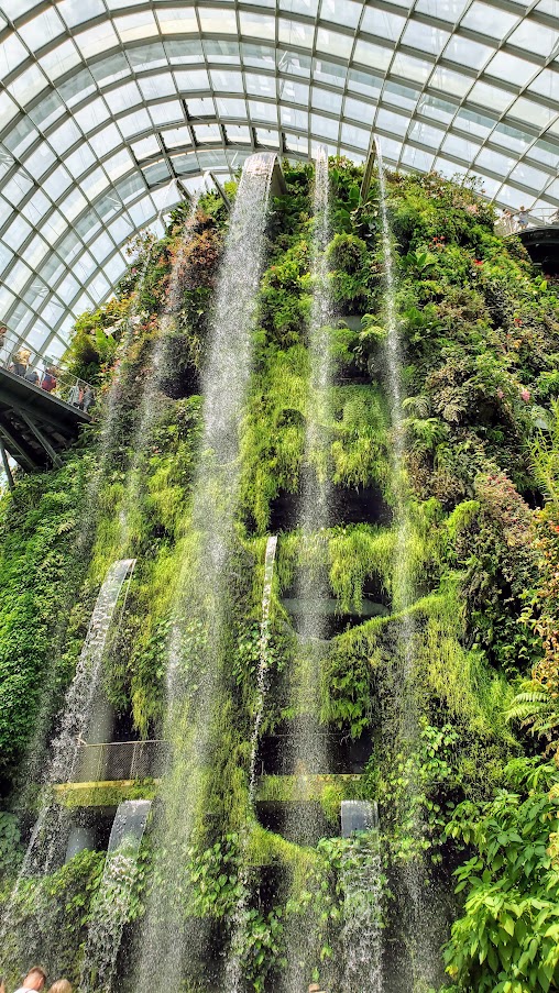 Guide to Visiting Gardens by the Bay, Singapore: inside Cloud Forest