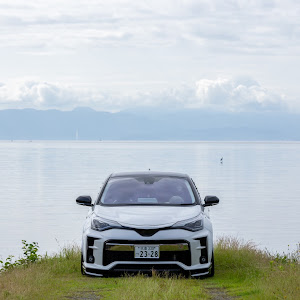 C-HR ZYX11