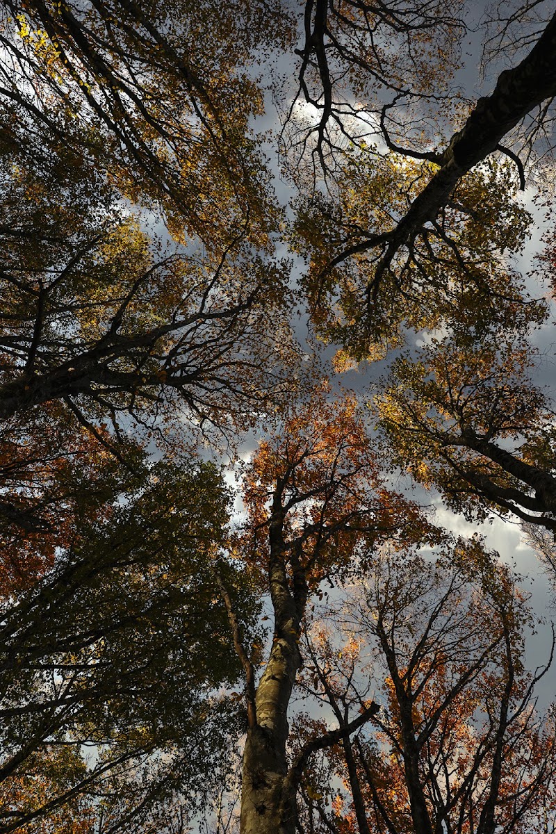 …vai verso la luce…. di stefanogaleotti